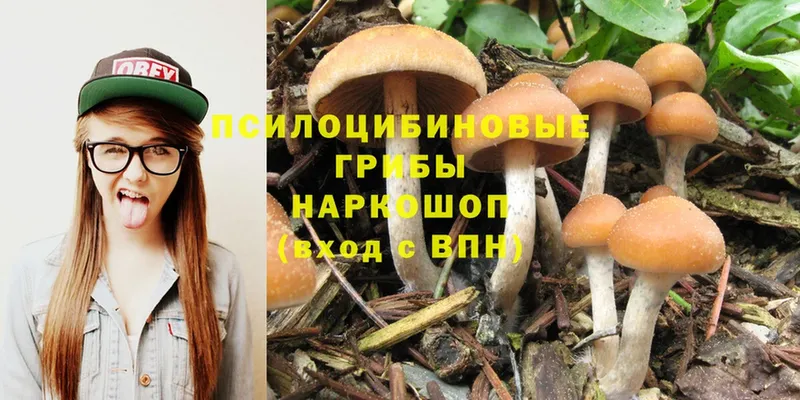 Псилоцибиновые грибы Magic Shrooms  Кашира 